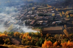 Сf